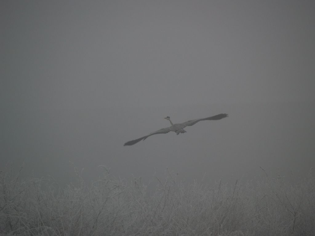 Bianco su bianco - grigio su grigio